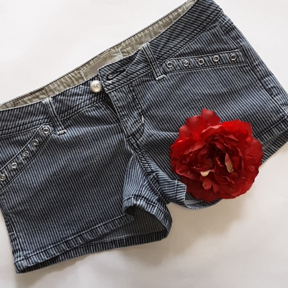 Tyte Brand Denim Pin-stripped Shorts EUC